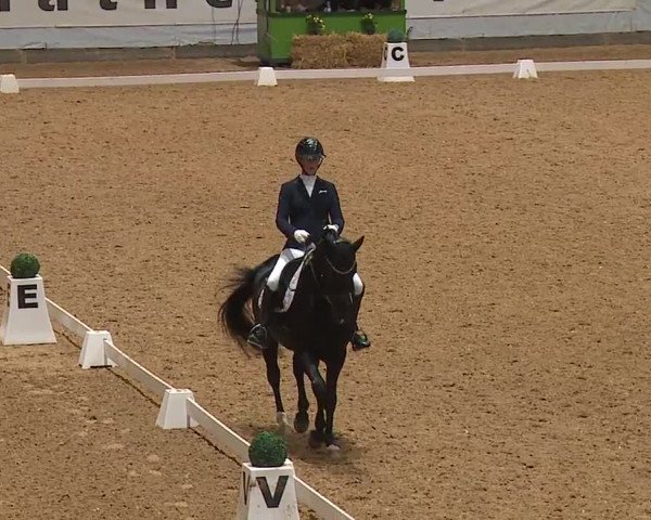 Reitturnier Kreuth 2023