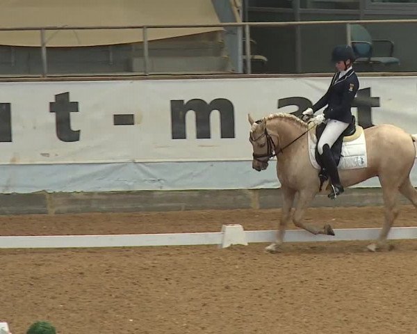 Reitturnier Kreuth 2023