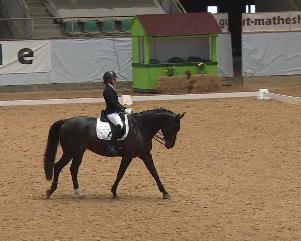 Reitturnier Kreuth 2023