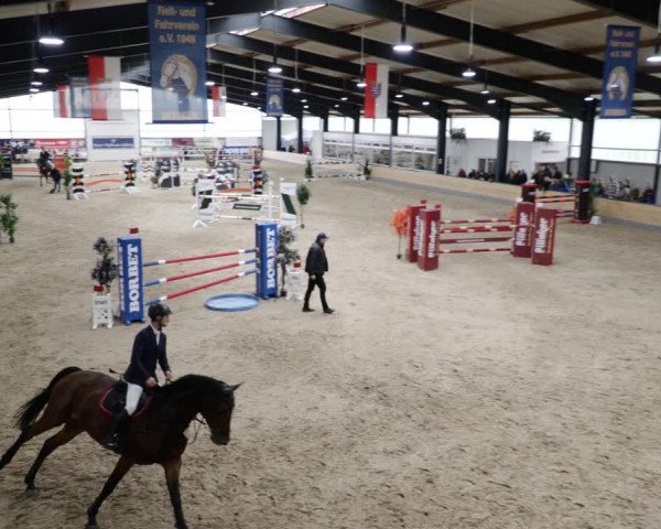 Reitturnier Borken 2023