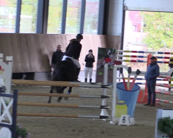 Reitturnier Zwickau 2023