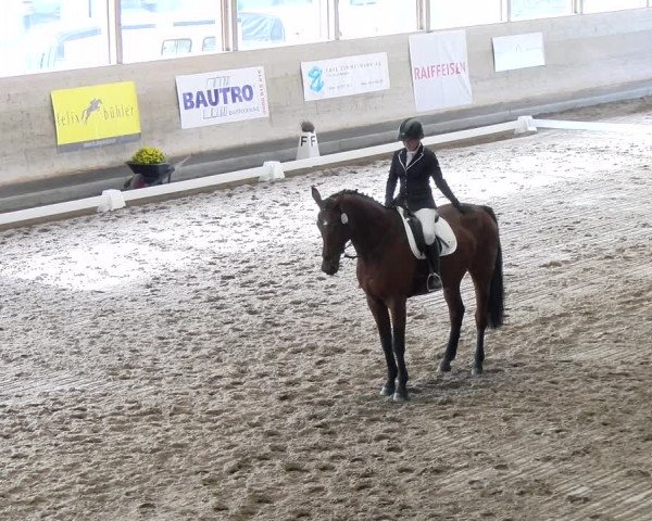 Reitturnier Urtenen-Schönbühl 2023