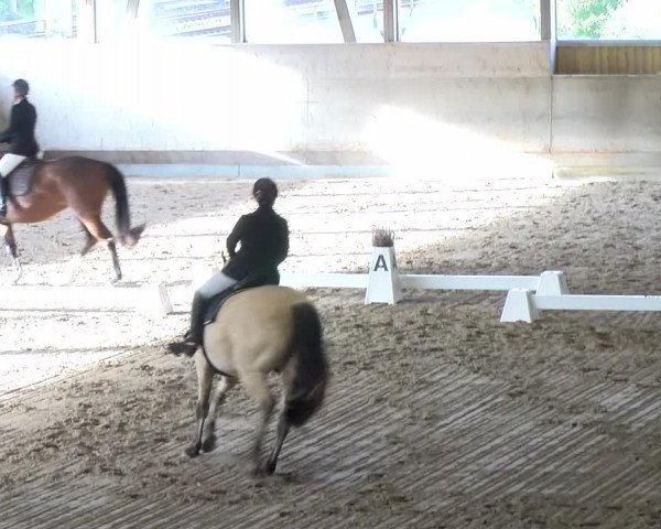 Reitturnier Urtenen-Schönbühl 2023