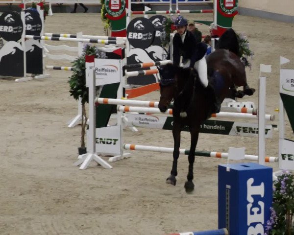Reitturnier Borken 2023