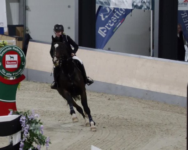 Reitturnier Borken 2023
