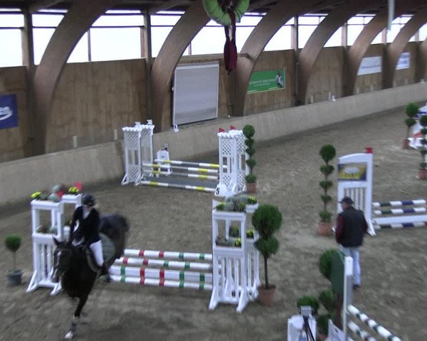 Reitturnier Hövelhof 2023