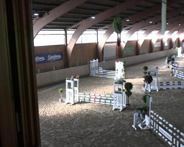 Reitturnier Hövelhof 2023