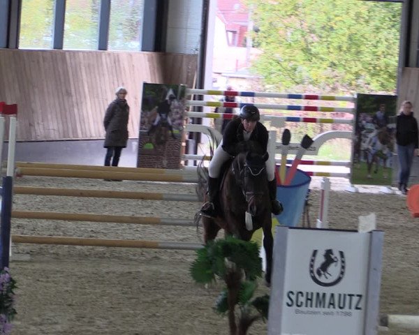 Reitturnier Zwickau 2023