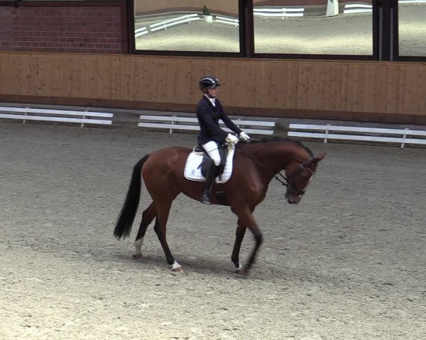 Reitturnier Hamburg-Friedrichshulde/Sylva Kuhrt 2023