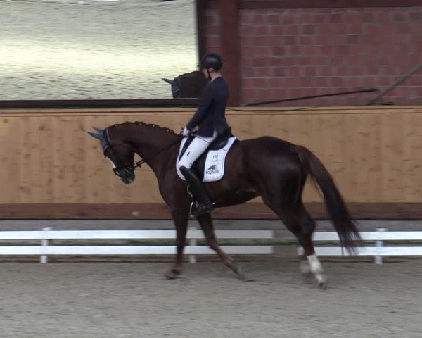 Reitturnier Hamburg-Friedrichshulde/Sylva Kuhrt 2023