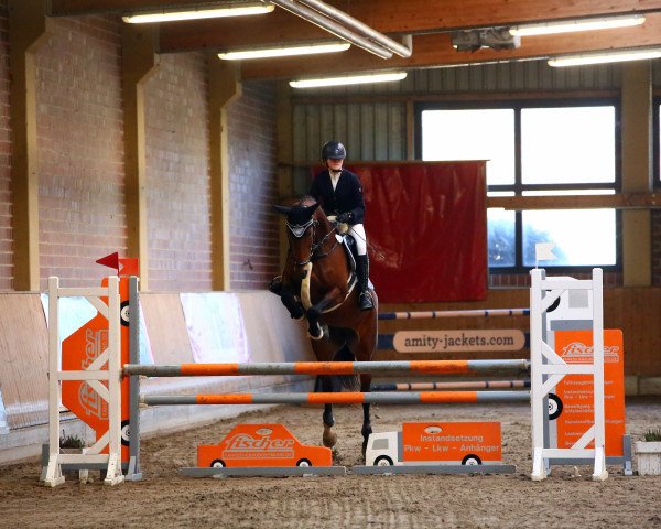 jumper Arubina M (Oldenburg, 2011, from Ampère)