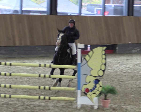 Reitturnier Zwickau 2023