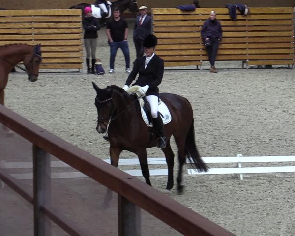 Reitturnier Hamburg-Friedrichshulde/Sylva Kuhrt 2023
