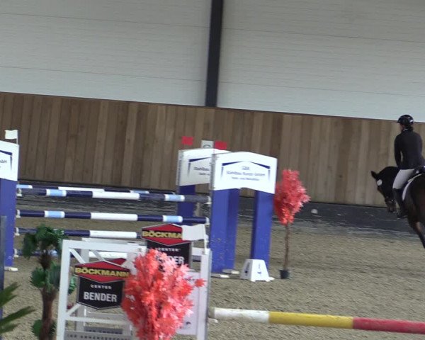 Reitturnier Zwickau 2023