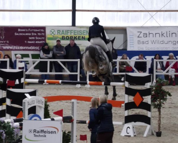 Reitturnier Borken 2023