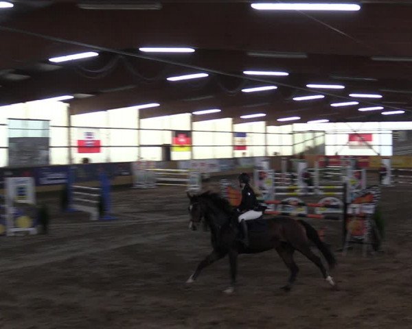 Reitturnier Pausin 2023