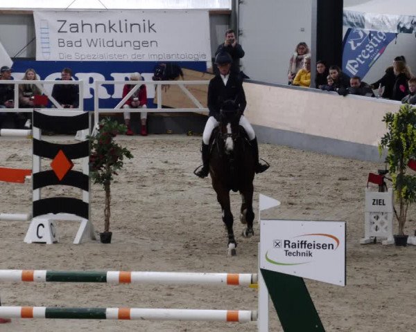 Reitturnier Borken 2023