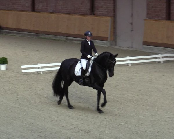 Reitturnier Hamburg-Friedrichshulde/Sylva Kuhrt 2023