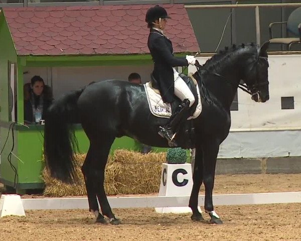 Reitturnier Kreuth 2023