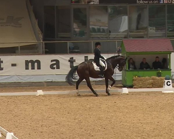 Reitturnier Kreuth 2023