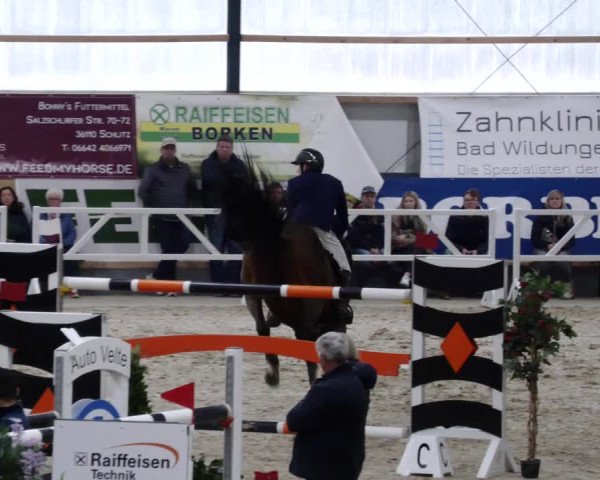 Reitturnier Borken 2023