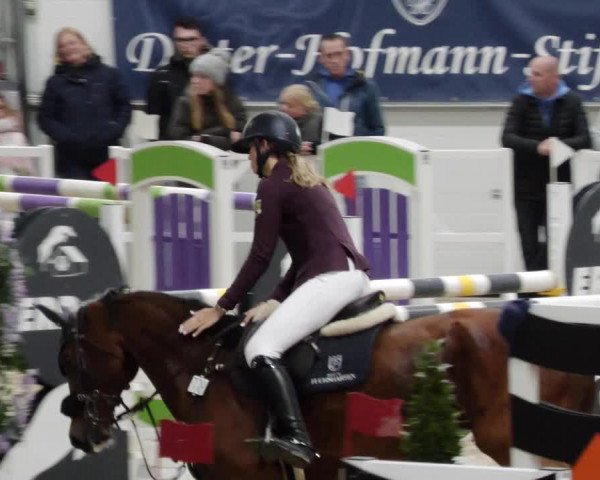 Reitturnier Borken 2023