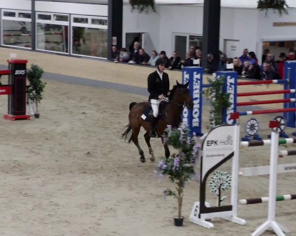 Reitturnier Borken 2023