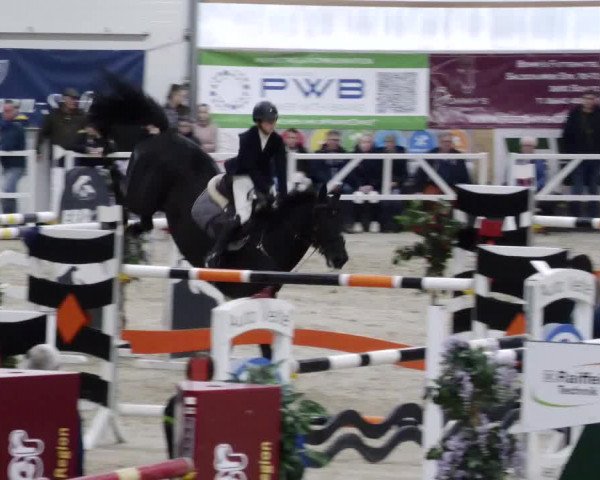 Reitturnier Borken 2023