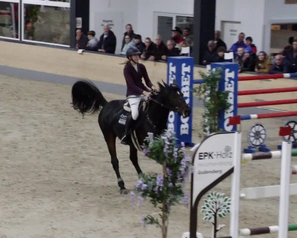 Reitturnier Borken 2023