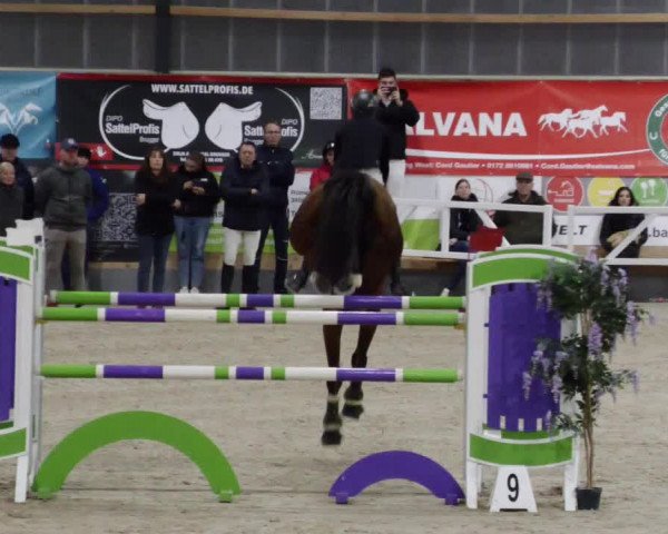 Reitturnier Borken 2023