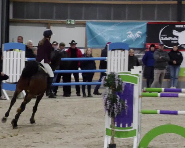 Reitturnier Borken 2023