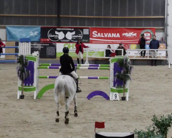 Reitturnier Borken 2023