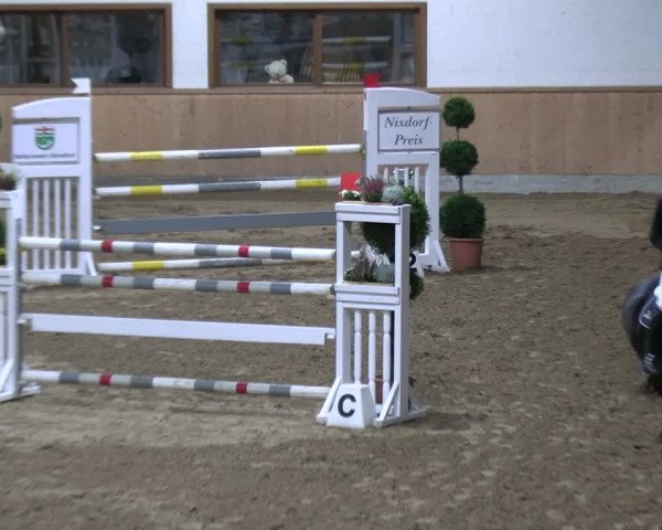 Reitturnier Hövelhof 2023