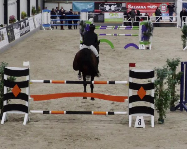 Reitturnier Borken 2023