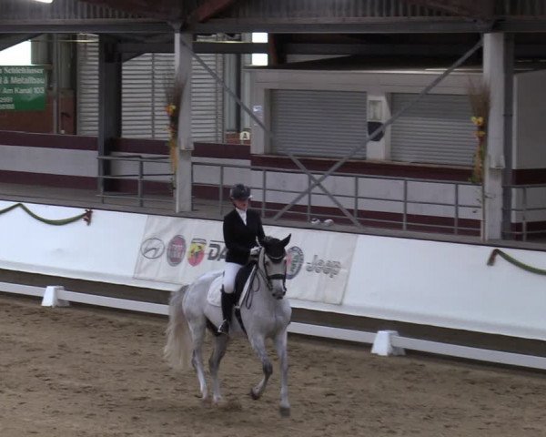 Reitturnier Marl, Hof Rohmann 2023