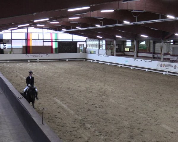 Reitturnier Marl, Hof Rohmann 2023