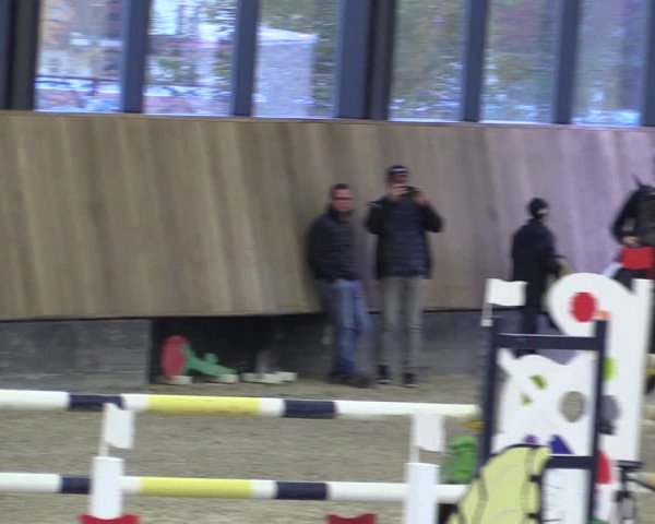 Reitturnier Zwickau 2023
