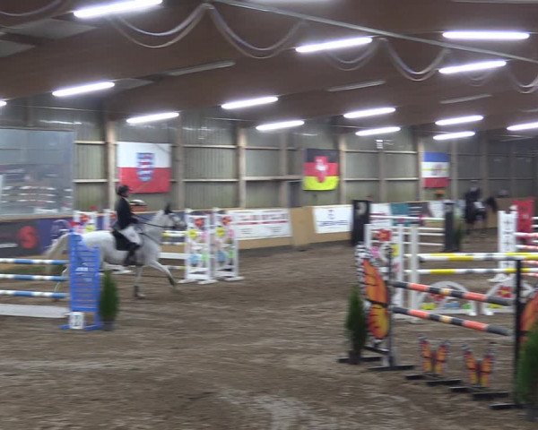 Reitturnier Pausin 2023