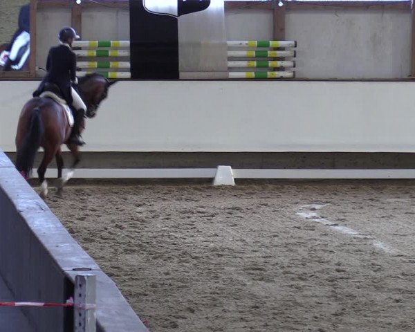 Reitturnier Marl, Hof Rohmann 2023