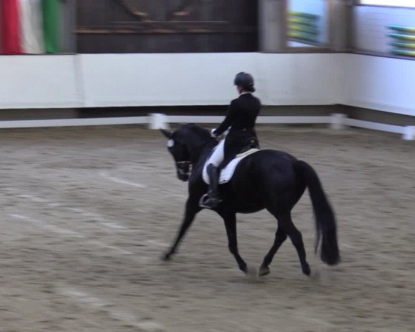 Reitturnier Marl, Hof Rohmann 2023