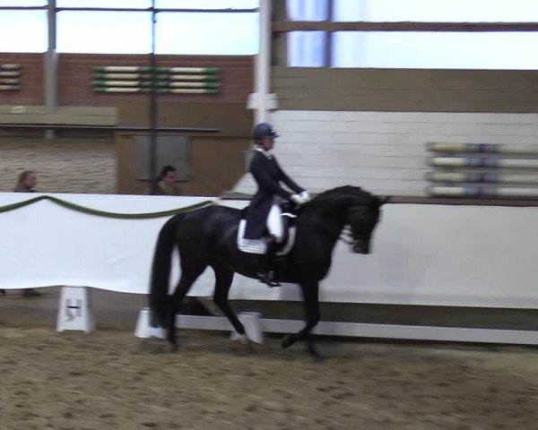 Reitturnier Marl, Hof Rohmann 2023