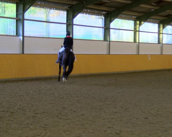 Reitturnier Frechen-Bachem 2023