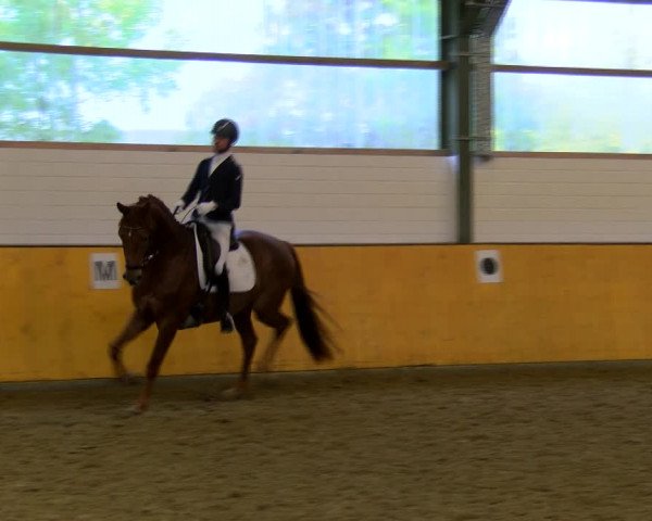 Reitturnier Frechen-Bachem 2023