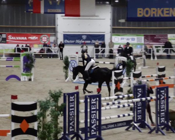 Reitturnier Borken 2023