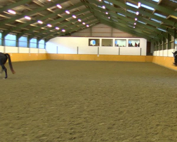 Reitturnier Frechen-Bachem 2023
