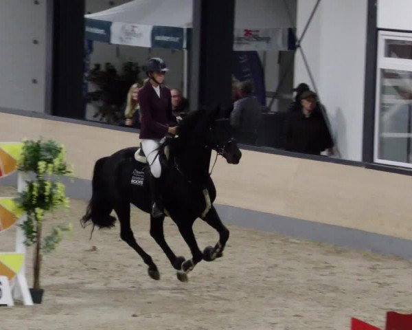 Reitturnier Borken 2023