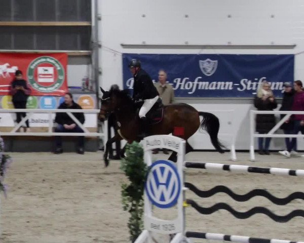 Reitturnier Borken 2023