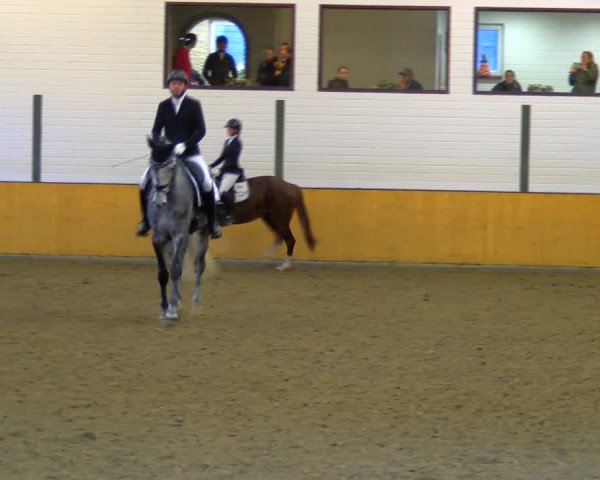 Reitturnier Frechen-Bachem 2023