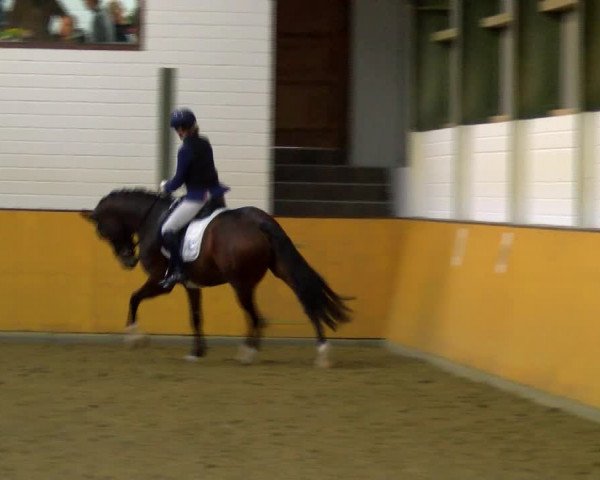 Reitturnier Frechen-Bachem 2023