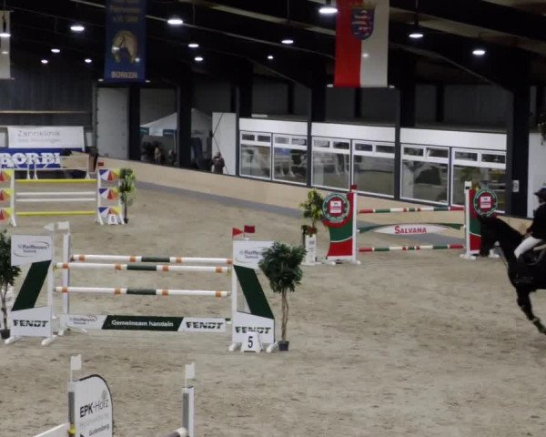 Reitturnier Borken 2023